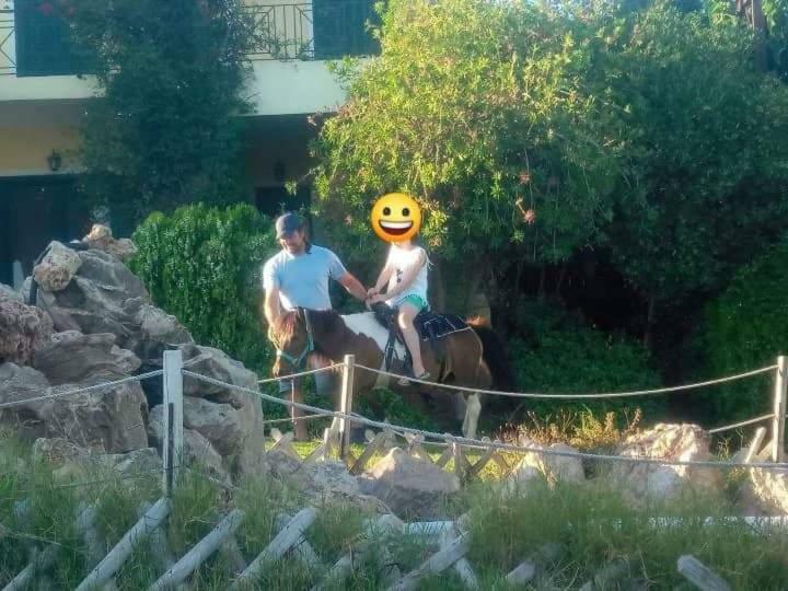 κτήμα νικόλα Διαμέρισμα *